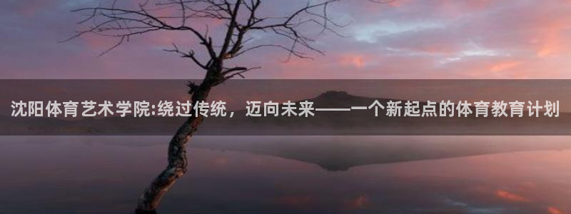 MK体育官方正版app官方:沈阳体育艺术学院:绕过传统,迈向