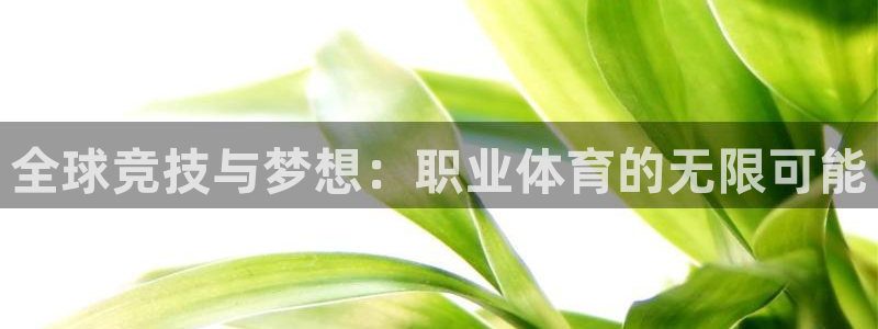 MK体育官网下载招商电话号码查询:全球竞技与梦想:职业体育的